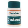 health-solutions-911-Cystone